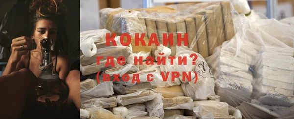 дмт Тайга