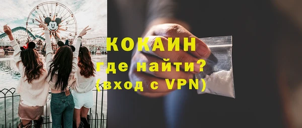 дмт Тайга