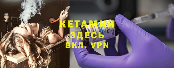 дмт Тайга