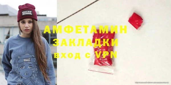 дмт Тайга