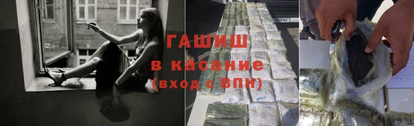 дмт Тайга