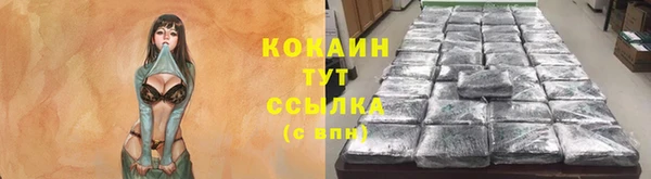 дмт Тайга