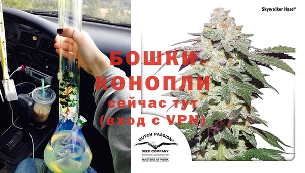 эйфоретик Тавда