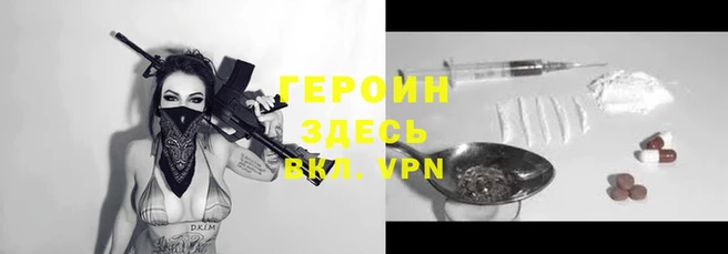 дмт Тайга