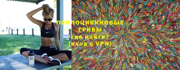 дмт Тайга