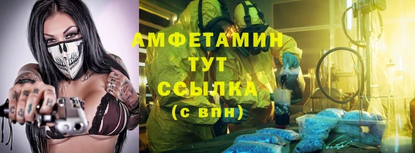 дмт Тайга