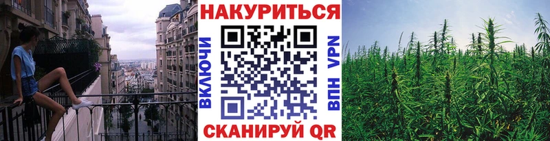 Марихуана OG Kush Шиханы